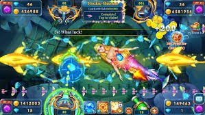 333wib